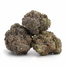 Haze Mist cannabis strain