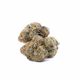 Haze Wreck cannabis strain