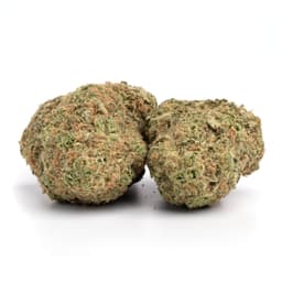Hell's Fire cannabis strain
