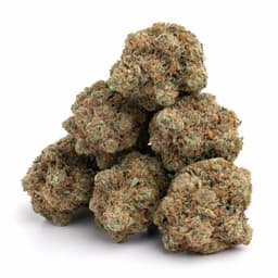 Hell's OG cannabis strain