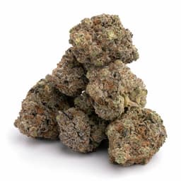 Hellfire OG cannabis strain