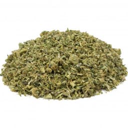 High Country Diesel cannabis strain