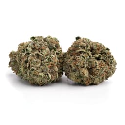 Hindu Sun cannabis strain