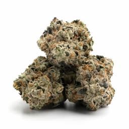 Huckleberry Diesel cannabis strain