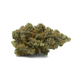 Ice #2 cannabis strain