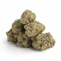 Ice Cream Cake x Kush Mints cannabis strain