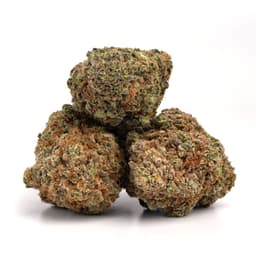 Ice Ice Shady cannabis strain