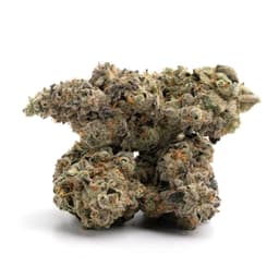Inferno OG cannabis strain