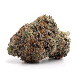 Island Ice cannabis strain