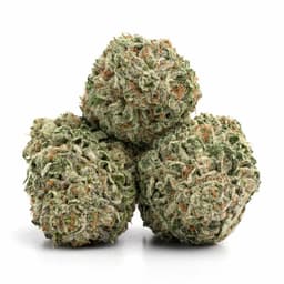 Island OG #2 cannabis strain