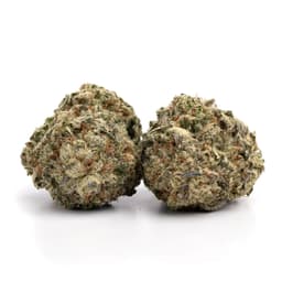 J's Famous Kush cannabis strain