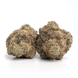 Jack Kush cannabis strain