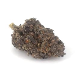 Jenny Kush cannabis strain
