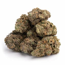 Jet Fuel Acai cannabis strain