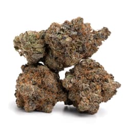 Jet Fuel Acai x Garlic Breath cannabis strain