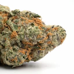 Jet Juice cannabis strain