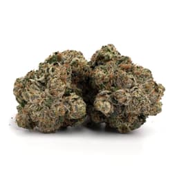 Joseph OG cannabis strain