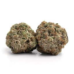JuJu OG cannabis strain