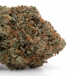 Juice Lee #33 #3 cannabis strain