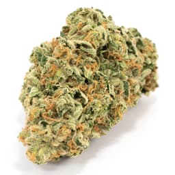 Jupiter Kush cannabis strain