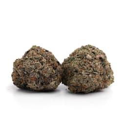Jupiter OG cannabis strain