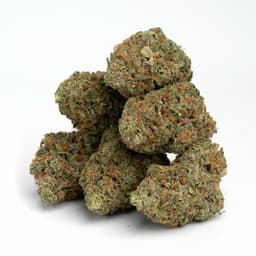 Kaia Kush cannabis strain