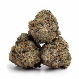 Karat Cake cannabis strain