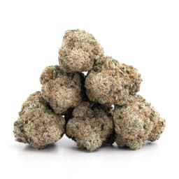 Katana OG cannabis strain