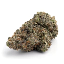Ken's GDP cannabis strain