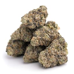 Kens GDP cannabis strain