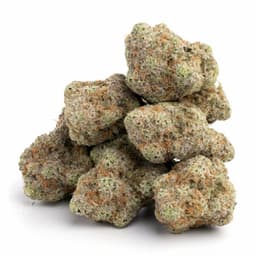 Killa Kush cannabis strain