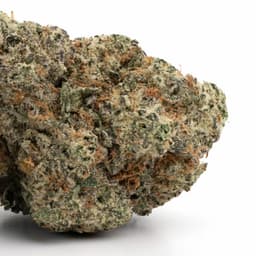 King Kong Glue cannabis strain