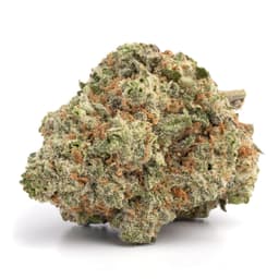 King Louis VIII cannabis strain