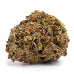 King's Bread cannabis strain
