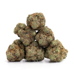 King's Stash cannabis strain