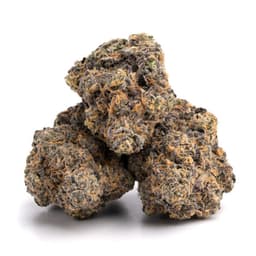Kings Kandy cannabis strain