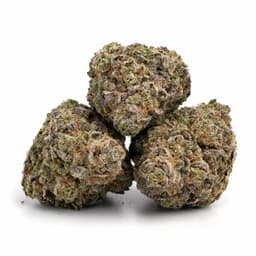 Krystal Kush cannabis strain