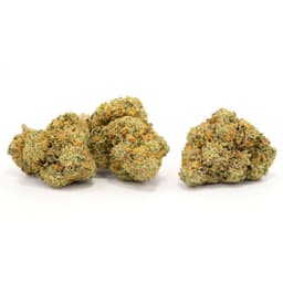Kush Co OG cannabis strain