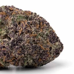 Kush Cookies cannabis strain