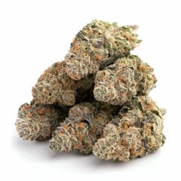 Kushberry cannabis strain