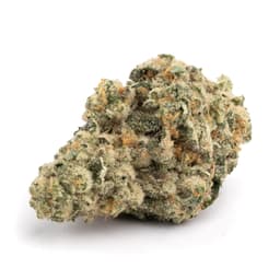 LA Con X Trainwreck cannabis strain
