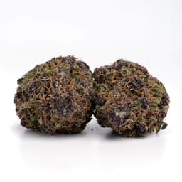 LA Cookies cannabis strain