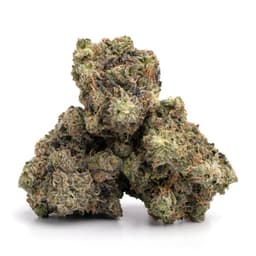 LA Kush Cake cannabis strain