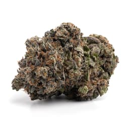 LA Kush cannabis strain