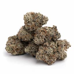 La Coma cannabis strain