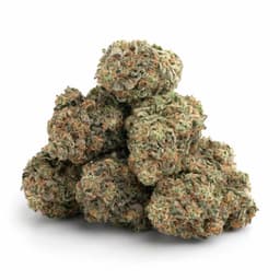 Lambs Bread cannabis strain