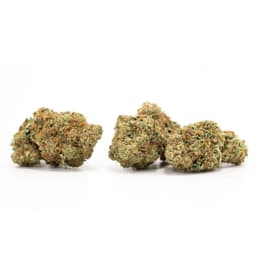 Las Vegas Kush Cake cannabis strain
