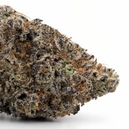 Las Vegas Kush cannabis strain