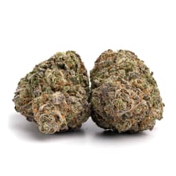 Las Vegas Lemon Skunk cannabis strain
