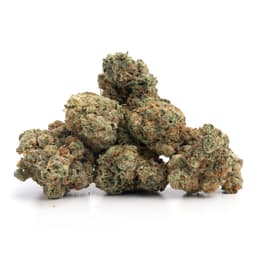 Lavender cannabis strain